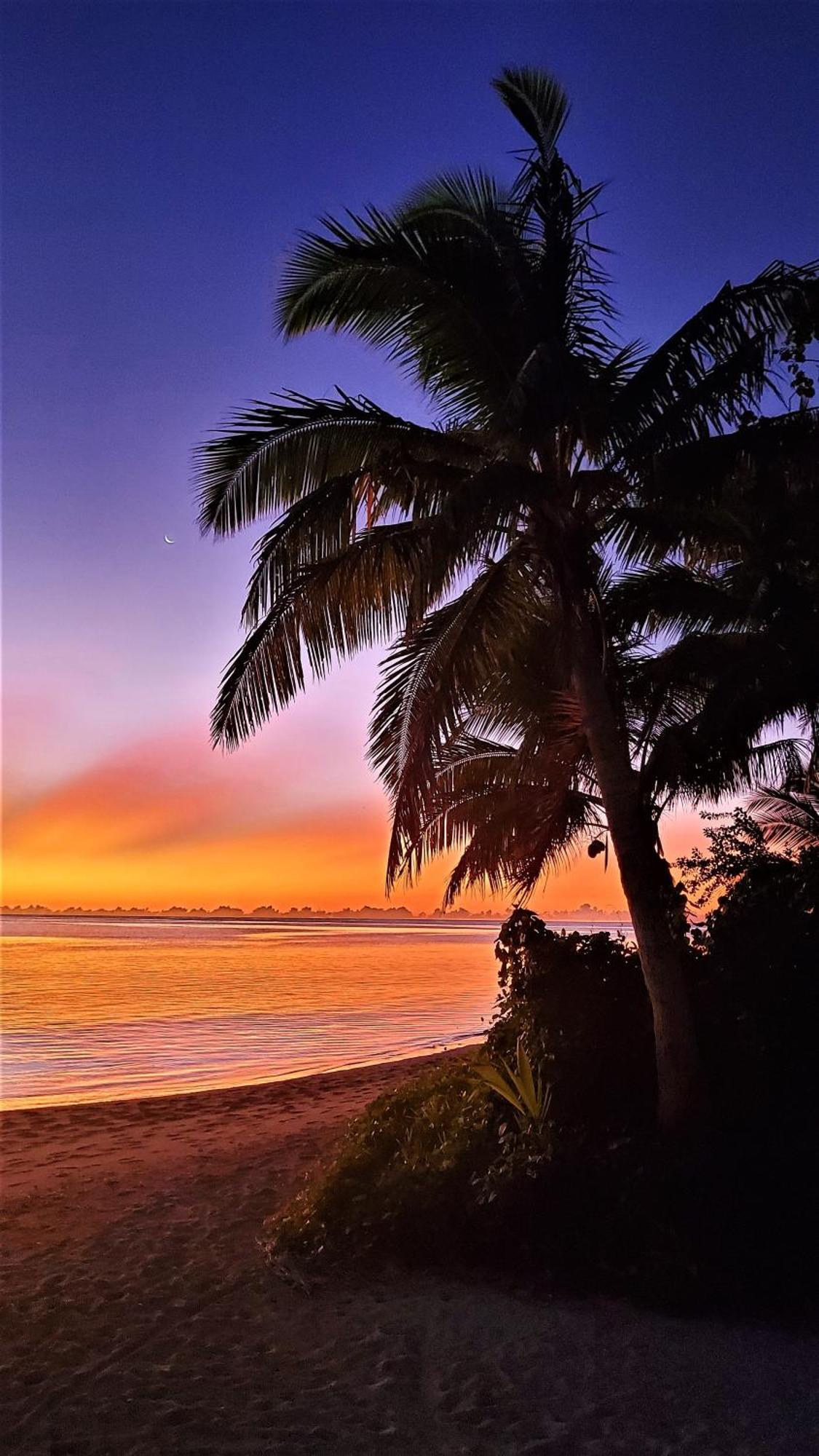 Oarsman'S Bay Lodge Naisisili 外观 照片