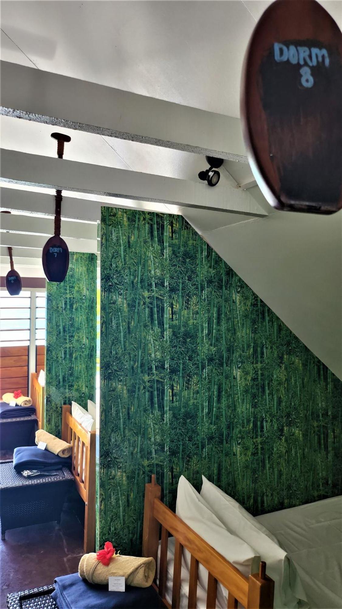 Oarsman'S Bay Lodge Naisisili 外观 照片